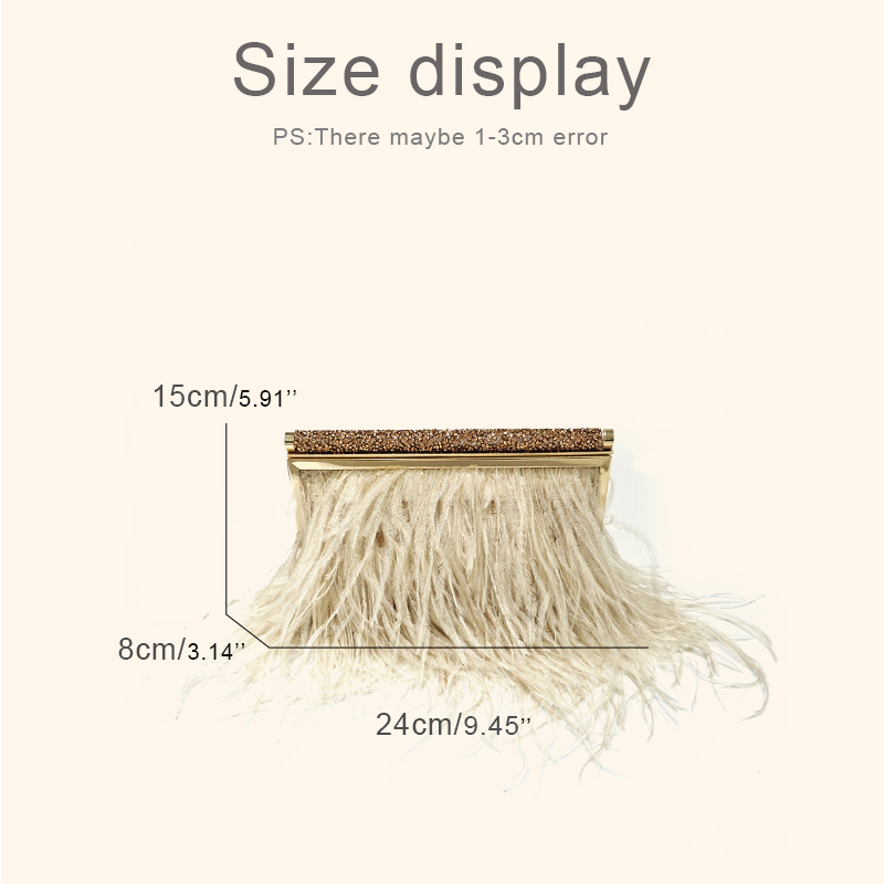 Fashion Clutch Metal frame Eve - Luxury Bags Of 2026 review and price