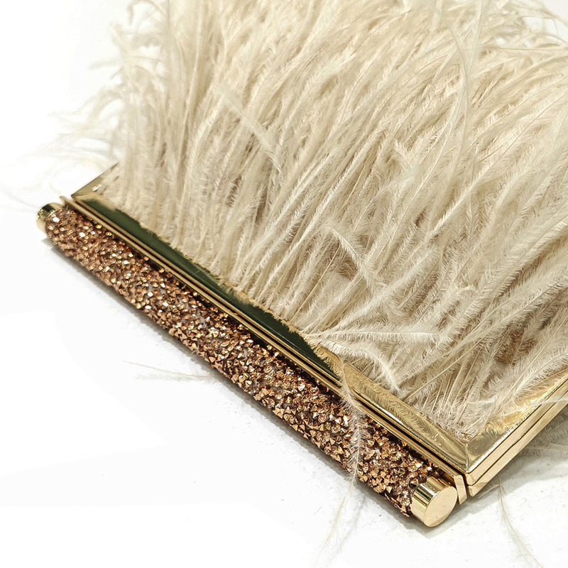 Fashion Clutch Metal frame Eve - Luxury Bags Of 2026 review and price